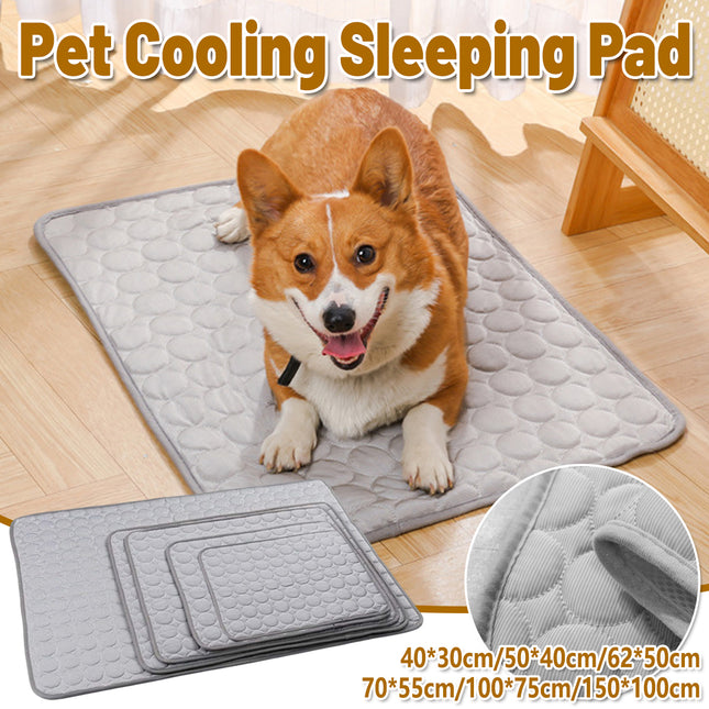 Pet Cooling Sleeping Mat Summer Spring Cooling Mat for Dog and Cat Indoor Use