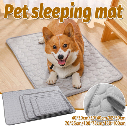 Pet  Sleeping Mat Summer Spring Mat for Dog and Cat Indoor Use