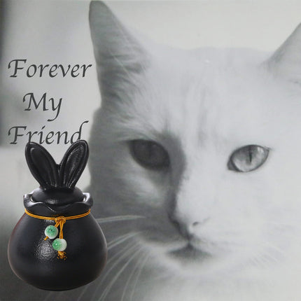 Pet Urn Small Animal Ashes Keepsake Memorial Cat Dog Cremation Urn Small Pet