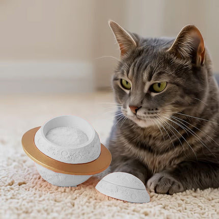 Pet Memorial Urn Planet Shape Sealed Keepsake Box for Cat Dog Ashes Cement