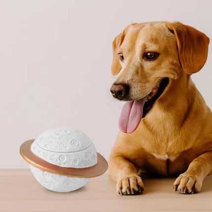Pet Memorial Urn Planet Shape Sealed Keepsake Box for Cat Dog Ashes Cement