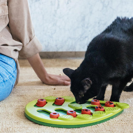 Cat Slow Feeder Bowl Puzzle Interactive Enrichment Toy Pet Educational Non-Toxic