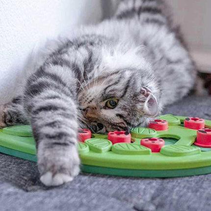 Cat Slow Feeder Bowl Puzzle Interactive Enrichment Toy Pet Educational Non-Toxic