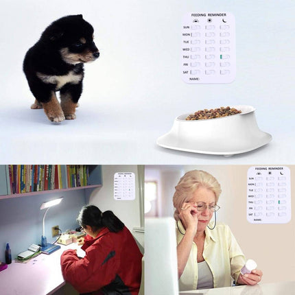Pet Feeding Reminder Chart 3 Meals Daily Magnetic