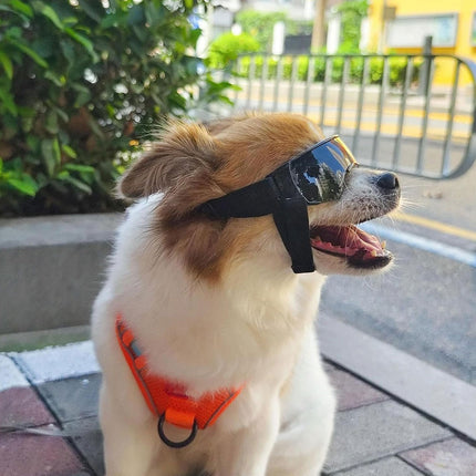 Pet Dog Sunglasses Goggles UV Eye Shield for Small Dogs Outdoor Travel Sunshade