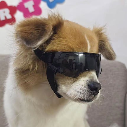 Pet Dog Sunglasses Goggles UV Eye Shield for Small Dogs Outdoor Travel Sunshade