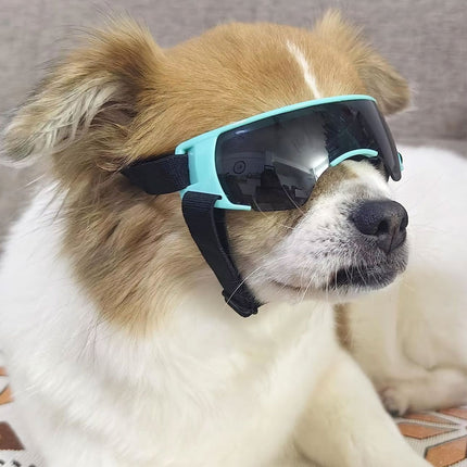 Pet Dog Sunglasses Goggles UV Eye Shield for Small Dogs Outdoor Travel Sunshade