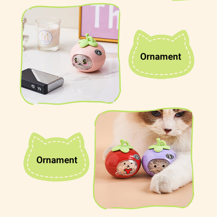 Pet Hair Storage Organizer Transparent Dustproof for Cats Dogs Grooming Decor