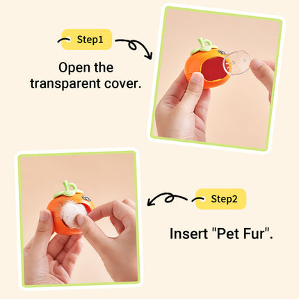 Pet Hair Storage Organizer Transparent Dustproof for Cats Dogs Grooming Decor