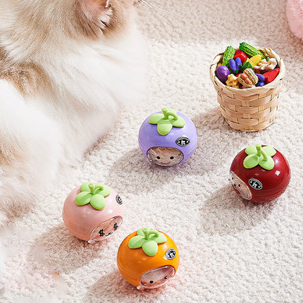 Pet Hair Storage Organizer Transparent Dustproof for Cats Dogs Grooming Decor