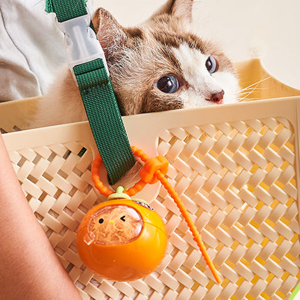 Pet Hair Storage Organizer Transparent Dustproof for Cats Dogs Grooming Decor