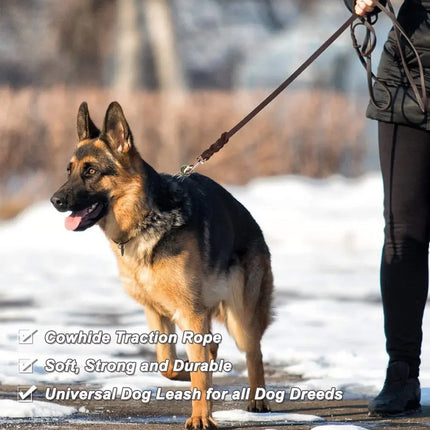 Dog Leash Cowhide Lead Heavy Duty Leather M Size Brown For Walking Training