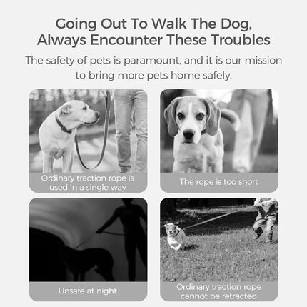 3m Retractable Pet Leash UFO Design Dog and Cat Walking Lead Adjustable Handle