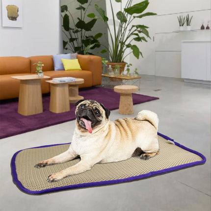 Thickened Breathable Washable Anti-Decubitus Air Mattress For Home Pet Durable