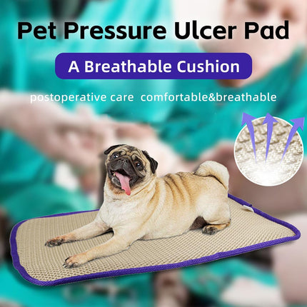 Thickened Breathable Washable Anti-Decubitus Air Mattress For Home Pet Durable