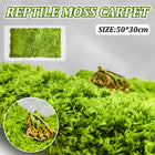 Reptile Moss Carpet 50x30cm Green Double Layer Fabric for Vivarium Terrarium
