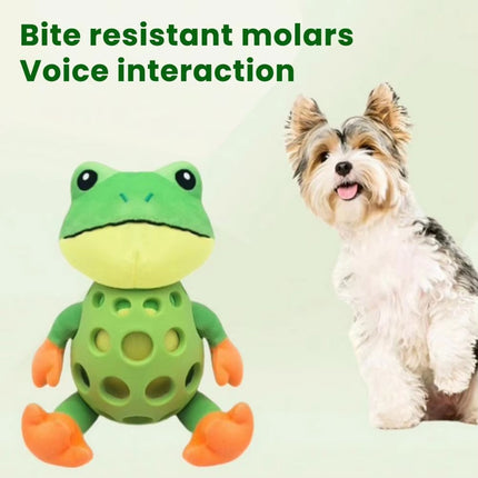 Pet Chew Resistant Teething Squeaky Toy Durable For Dog Cat Puppy Kitten Play