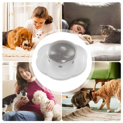 Automatic Pet Food Dispenser Feeding Bowl for Dogs and Cats Food Storage Bowl