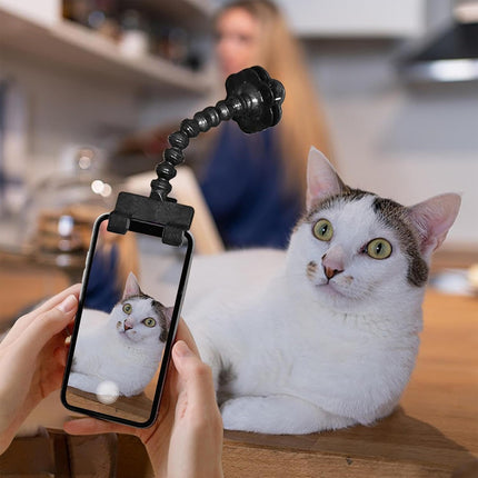 Pet Selfie Stick Attract Pet Portable Stable for Dog Cat Phone Camera Holder