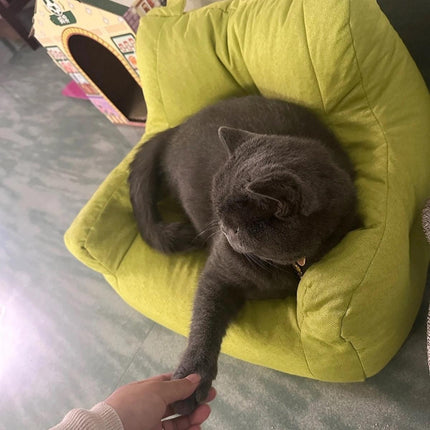 Small Sofa Chair Couch for Living Room Family Pet Furniture Comfortable Seat