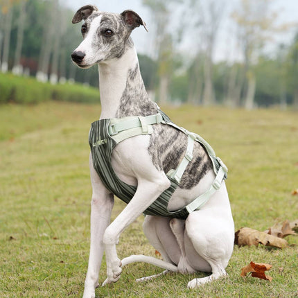 Dog Tactical Vest Harness Set with Leash Anti Choke Chest Back Handle M L Size
