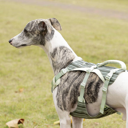 Dog Tactical Vest Harness Set with Leash Anti Choke Chest Back Handle M L Size
