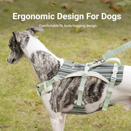 Dog Tactical Vest Harness Set with Leash Anti Choke Chest Back Handle M L Size