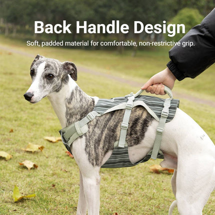 Dog Tactical Vest Harness Set with Leash Anti Choke Chest Back Handle M L Size