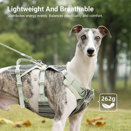 Dog Tactical Vest Harness Set with Leash Anti Choke Chest Back Handle M L Size