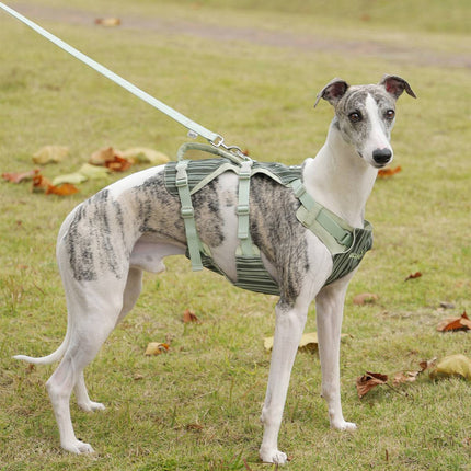 Dog Tactical Vest Harness Set with Leash Anti Choke Chest Back Handle M L Size