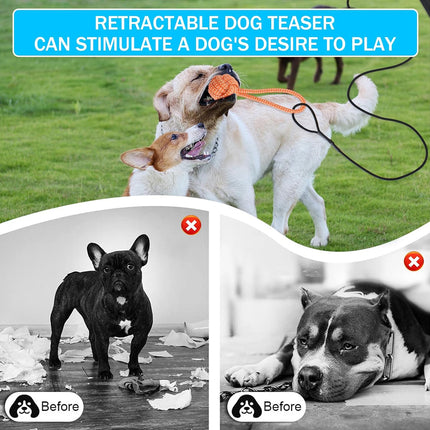 Retractable Dog Teaser Stick Dog Teaser Pole Toy For Dogs Interactive Pet Play