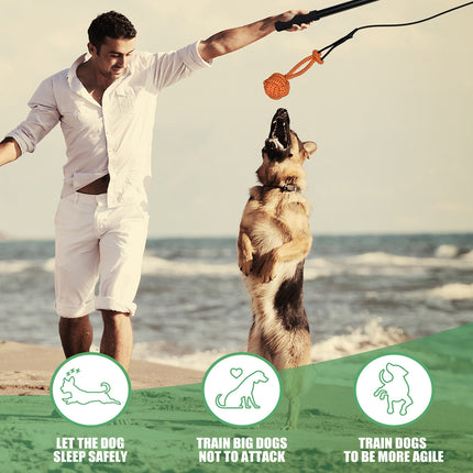 Retractable Dog Teaser Stick Dog Teaser Pole Toy For Dogs Interactive Pet Play