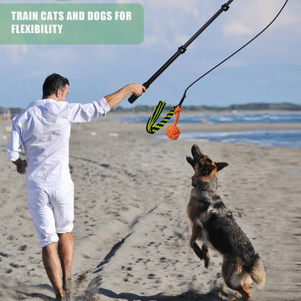 Retractable Dog Teaser Stick Dog Teaser Pole Toy For Dogs Interactive Pet Play