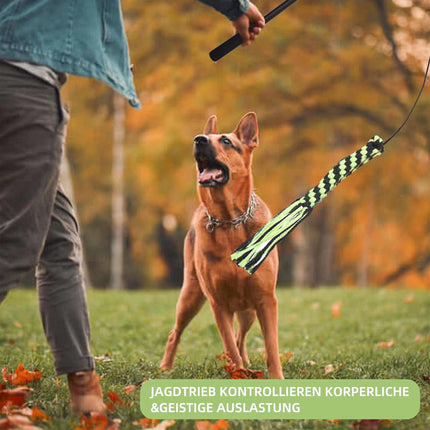 Retractable Dog Teaser Stick Dog Teaser Pole Toy For Dogs Interactive Pet Play
