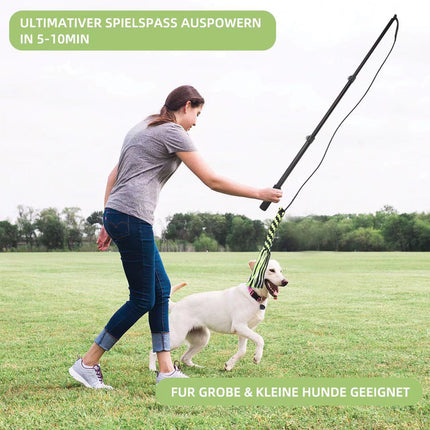 Retractable Dog Teaser Stick Dog Teaser Pole Toy For Dogs Interactive Pet Play