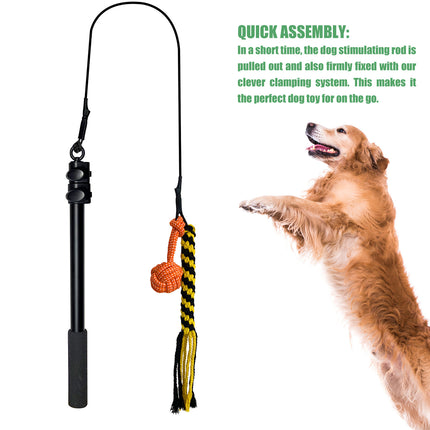 Retractable Dog Teaser Stick Dog Teaser Pole Toy For Dogs Interactive Pet Play