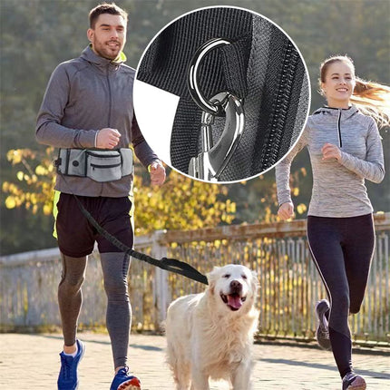 Portable Multi Pocket Pet Training Belt Bag Waterproof Dog Walking Outdoor Use