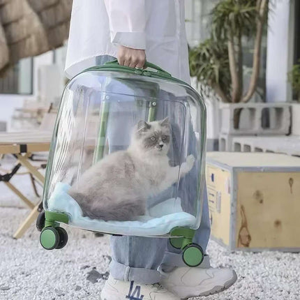 Transparent Pet Trolley Carrier with Wheels and Handle