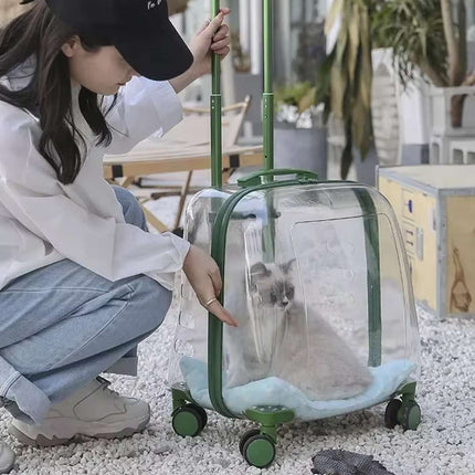 Transparent Pet Trolley Carrier with Wheels and Handle