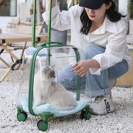 Transparent Pet Trolley Carrier with Wheels and Handle