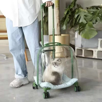 Transparent Pet Trolley Carrier with Wheels and Handle