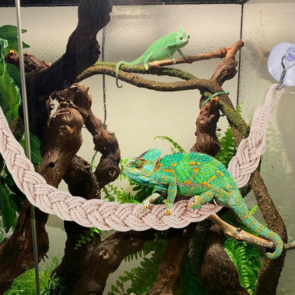 1PC Pet Climbing Gear Suspension Bridge Rope Swing for Reptiles Hermit Crabs