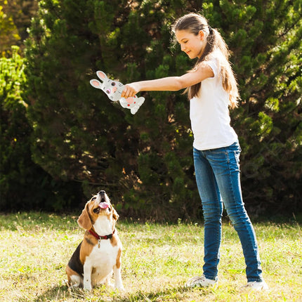 Latex Pet Dog Toy Squeaky Chew Sound Toy Durable Interactive Puppy Training Toy