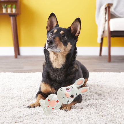 Latex Pet Dog Toy Squeaky Chew Sound Toy Durable Interactive Puppy Training Toy