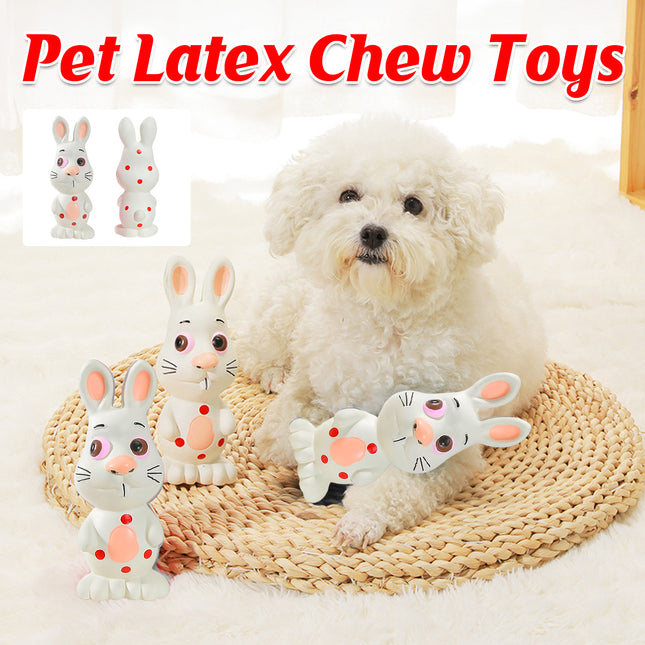 Latex Pet Dog Toy Squeaky Chew Sound Toy Durable Interactive Puppy Training Toy