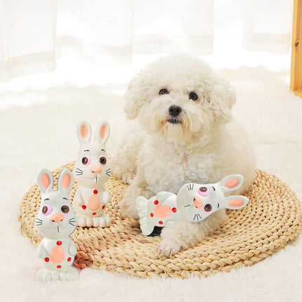 Latex Pet Dog Toy Squeaky Chew Sound Toy Durable Interactive Puppy Training Toy