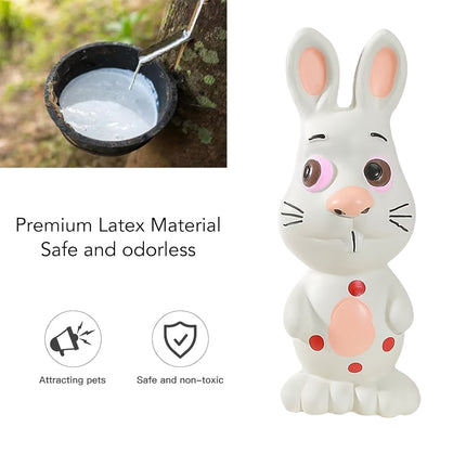Latex Pet Dog Toy Squeaky Chew Sound Toy Durable Interactive Puppy Training Toy