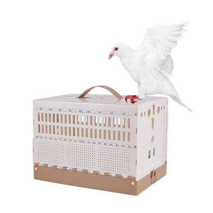 Pigeon Cage Foldable Plastic Homing Pigeon Crate Carrier Training Transport Box