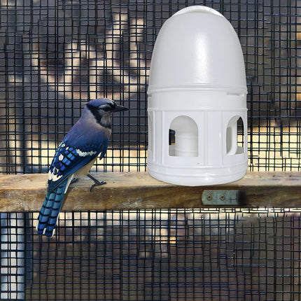 3L Pigeon Drinker White Plastic Drinking Pot Carrier Bird Water Dispenser Feeder