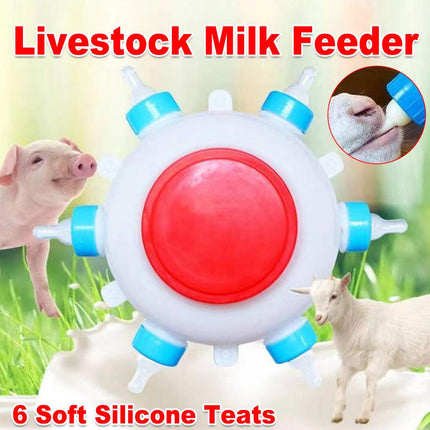 Livestock Puppy Feeder Milk Jug Eating Bucket with 6Spouts Small Capacity Nurser